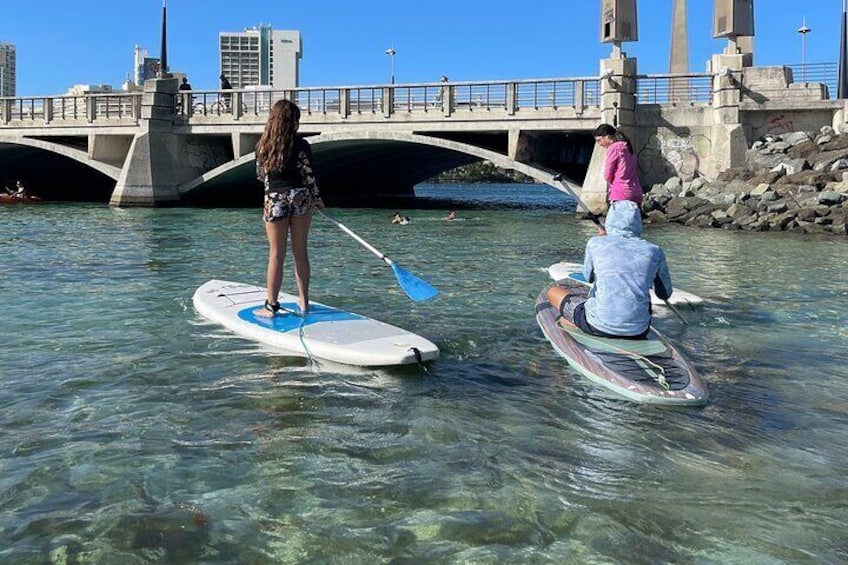 1-Hour Private Paddle Board Tour in Condado Lagoon