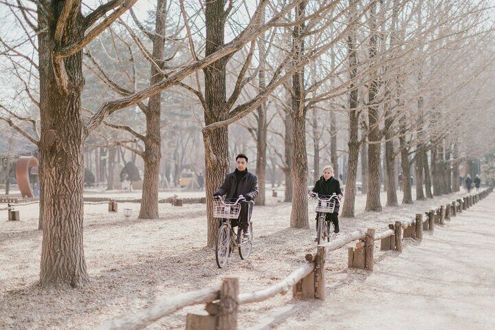 Nami Island & Garden of Morning Calm & Gangchon Railbike Tour