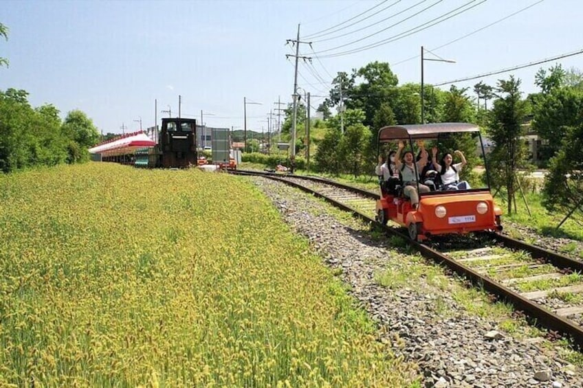 Nami Island & Garden of Morning Calm & Gangchon Railbike Tour