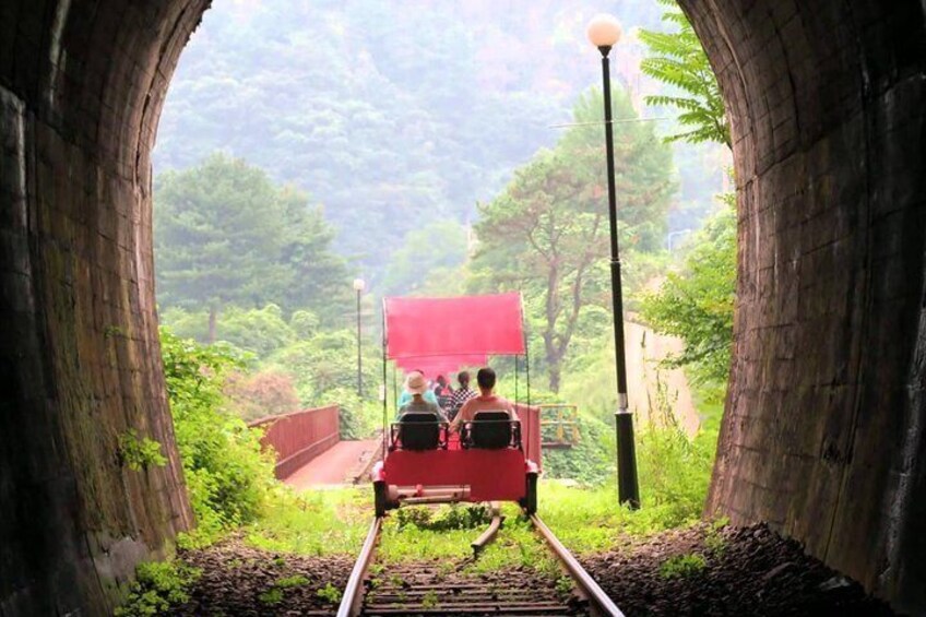 Nami Island & Garden of Morning Calm & Gangchon Railbike Tour