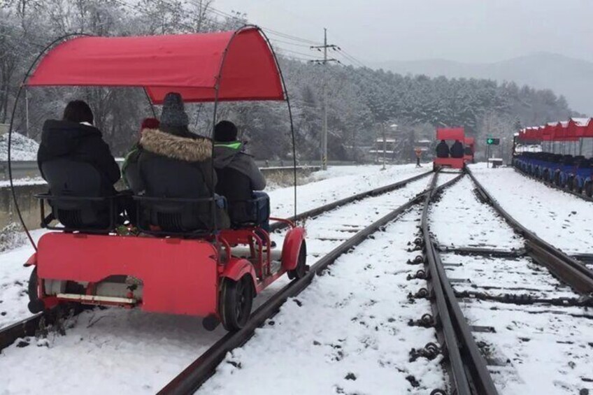 Nami Island & Garden of Morning Calm & Gangchon Railbike Tour