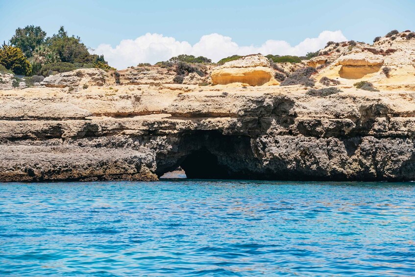 Picture 10 for Activity Vilamoura: Benagil Cave Boat Tour with Entry