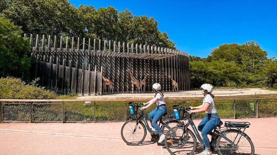 Lyon: Parc Tête d'Or Bike Tour