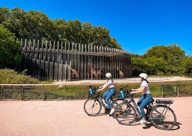 Lyon: Parc Tête d'Or sykkeltur