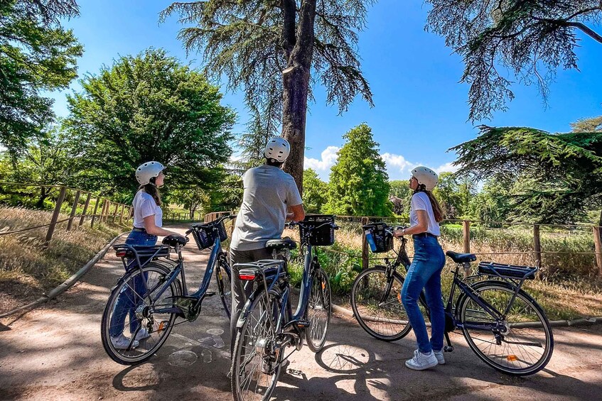 Picture 5 for Activity Lyon: Parc Tête d'Or Bike Tour