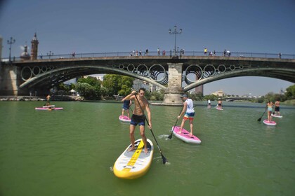 Seville: Guadalquivir River Stand Up Paddleboarding Tour
