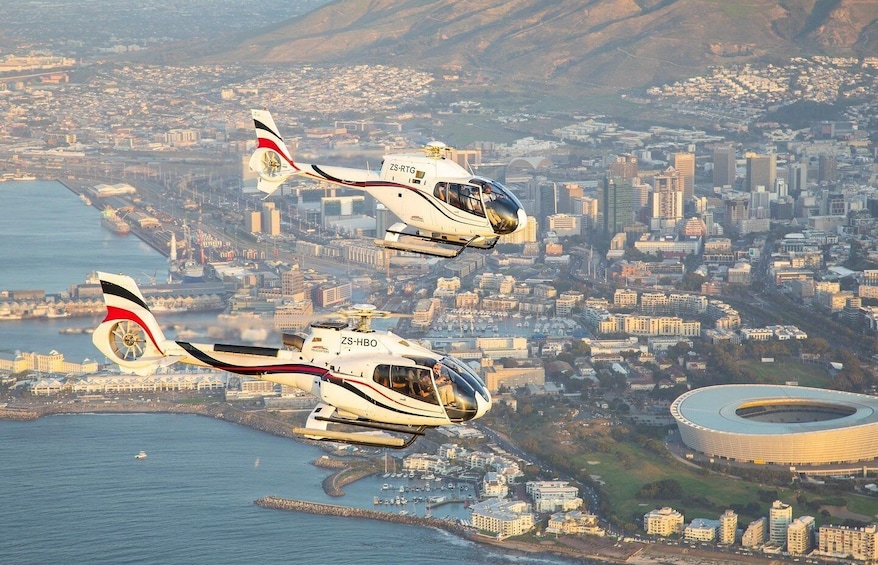 Picture 2 for Activity Cape Town: Atlantico Scenic Helicopter Flight with Boat Tour