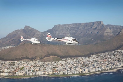 Cape Town: Penerbangan Helikopter Atlantico Scenic dengan Tur Perahu