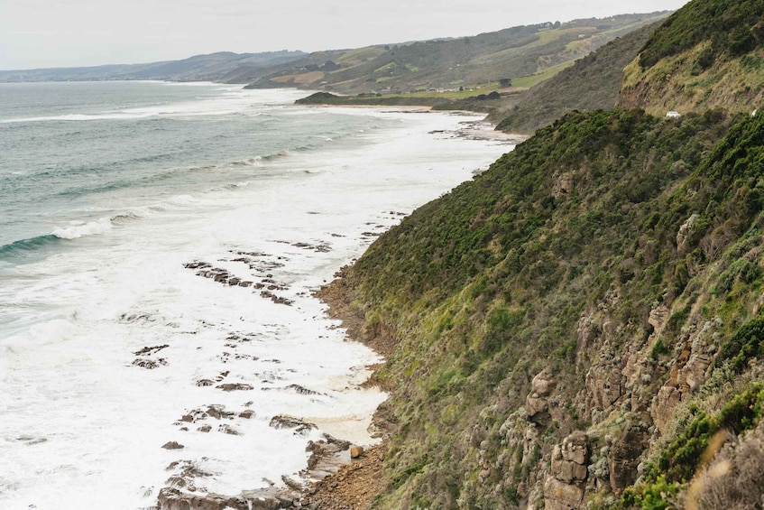 Picture 15 for Activity From Melbourne: Small-Group Great Ocean Road Day Trip