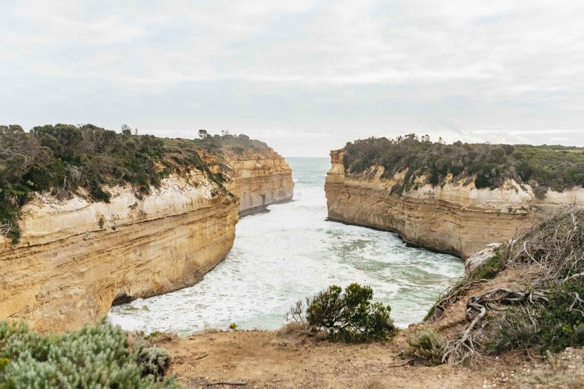 Picture 18 for Activity From Melbourne: Small-Group Great Ocean Road Day Trip