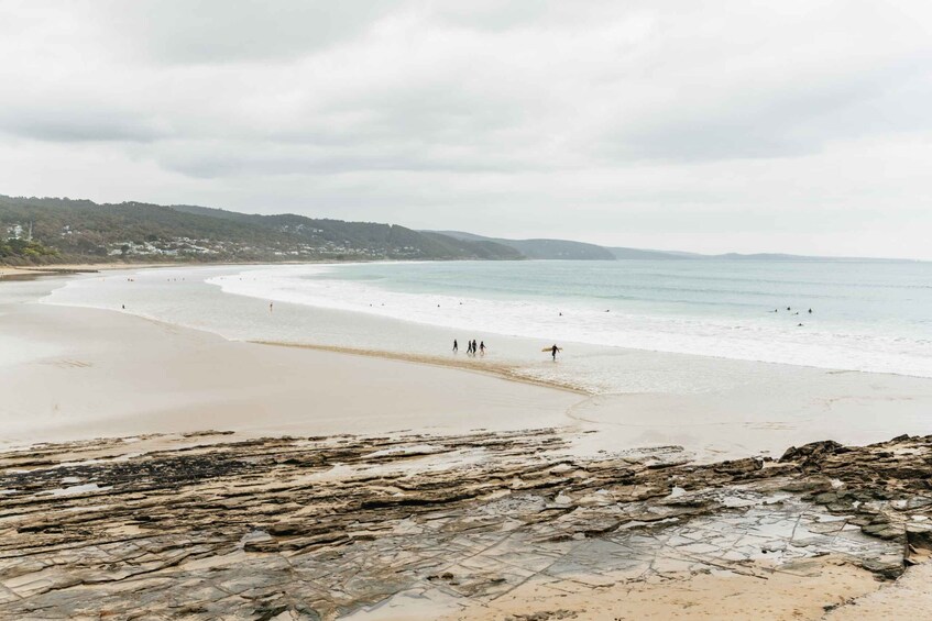 Picture 13 for Activity From Melbourne: Small-Group Great Ocean Road Day Trip