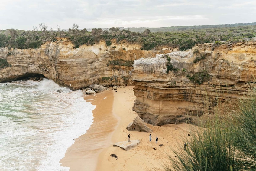 Picture 19 for Activity From Melbourne: Small-Group Great Ocean Road Day Trip