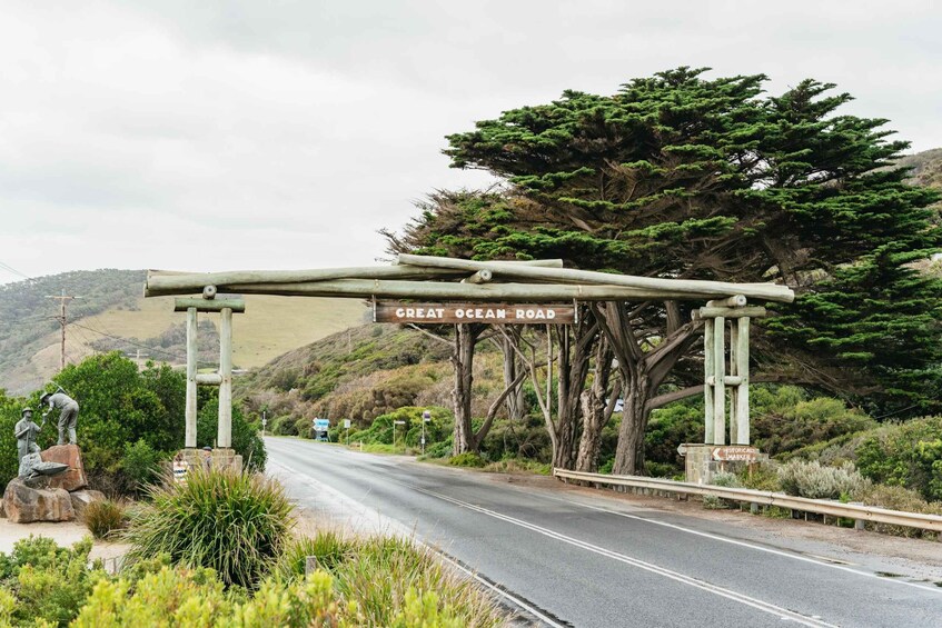 Picture 4 for Activity From Melbourne: Small-Group Great Ocean Road Day Trip