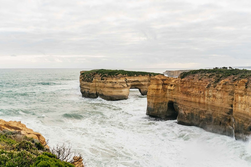 Picture 20 for Activity From Melbourne: Small-Group Great Ocean Road Day Trip