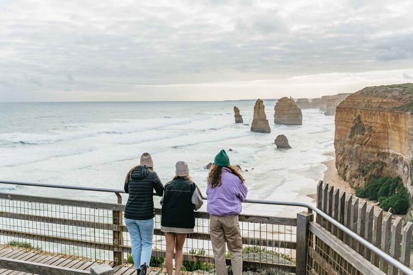 Picture 8 for Activity From Melbourne: Small-Group Great Ocean Road Day Trip