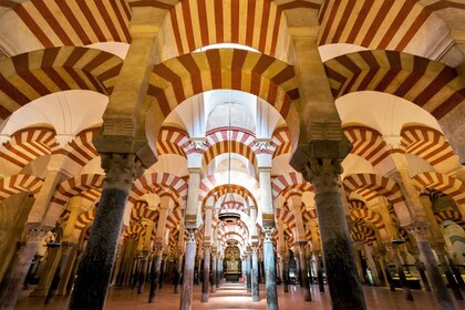 Córdoba: Mosque-Cathedral Guided Tour