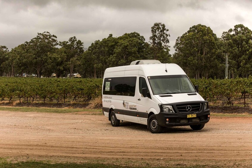 Picture 5 for Activity Hunter Valley: Uncork the Hunter Full-Day Wine Tour