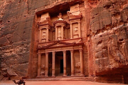 Full-Day Private Tour in Petra and Wadi Rum