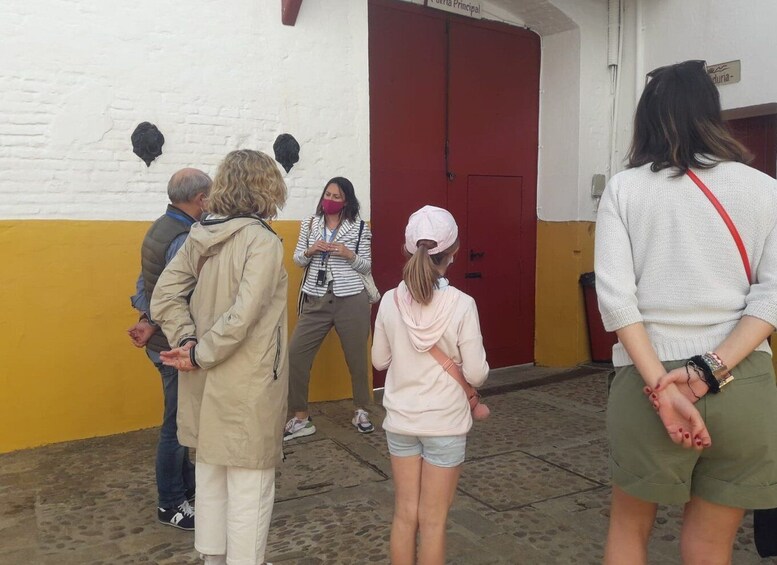 Picture 7 for Activity Seville: Bullring Guided Tour & Skip-the-Line Ticket