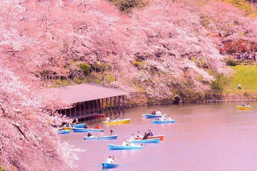 Kitanomaru Park