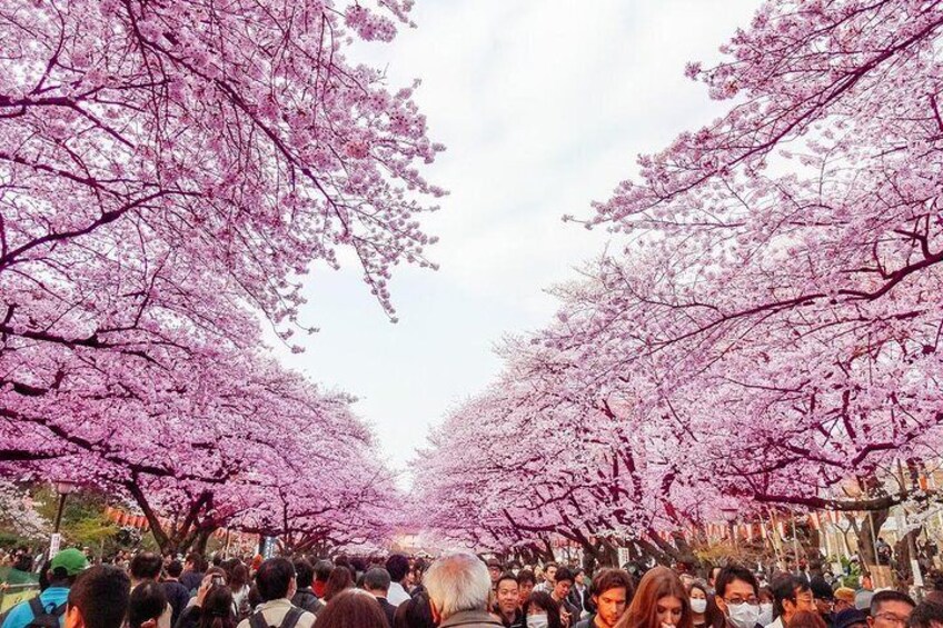 Ueno Park