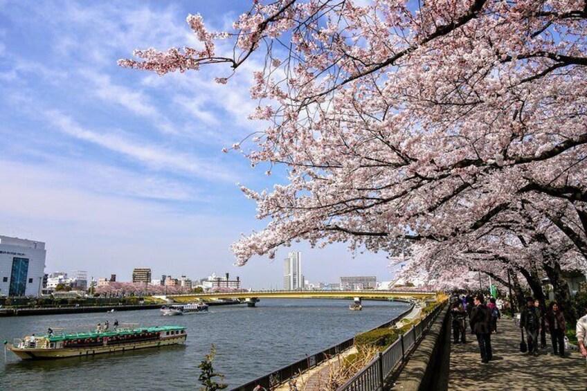 Sumida River