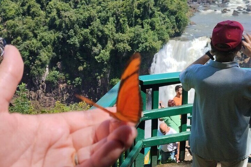 Full Day Private Tour to the 2 Iguazu Falls, Brazil and Arg.