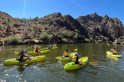 Scenic Guided Kayaking Tour on Saguaro Lake