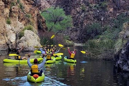 Scenic Guided Kayaking Tour on Saguaro Lake