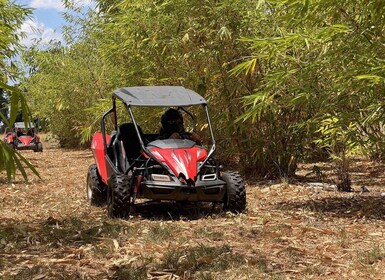 Fort Meade: Tur med bambu-dunbuggy