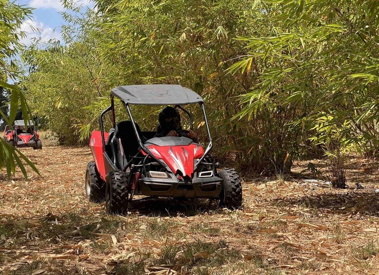 Bamboo Dune Buggy Tour