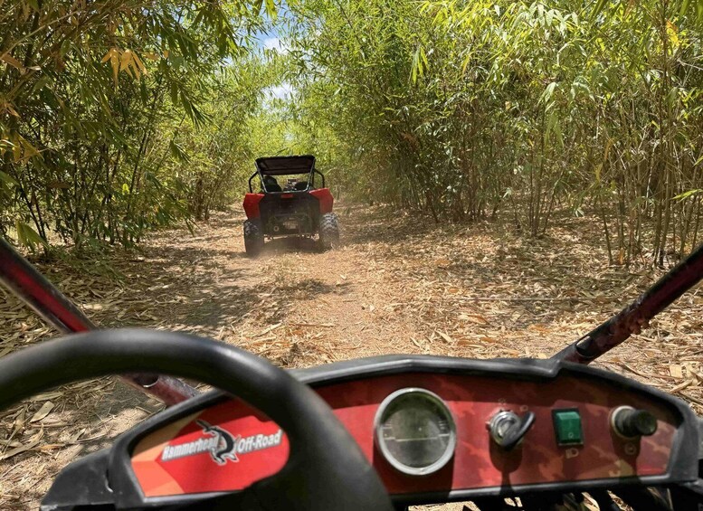 Picture 21 for Activity Bamboo Dune Buggy Tour