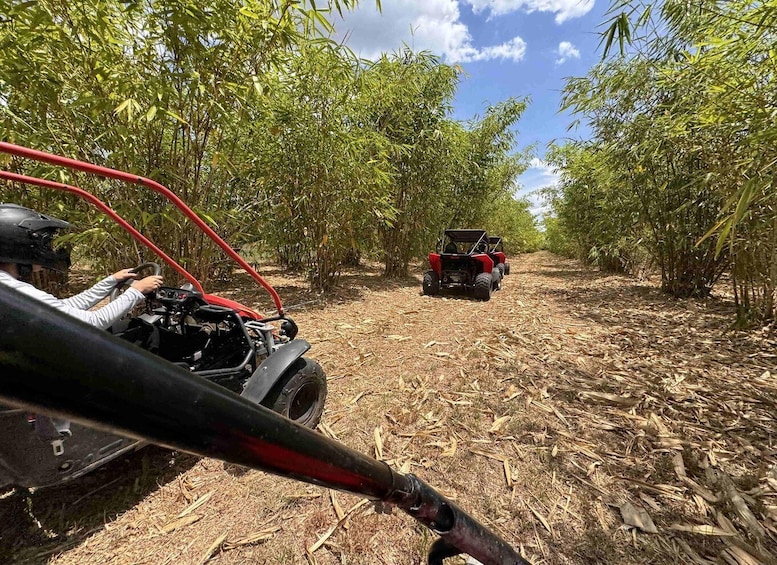 Picture 15 for Activity Bamboo Dune Buggy Tour