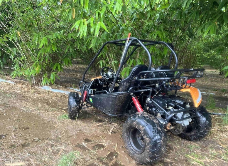 Picture 3 for Activity Bamboo Dune Buggy Tour