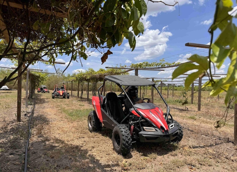 Picture 23 for Activity Bamboo Dune Buggy Tour