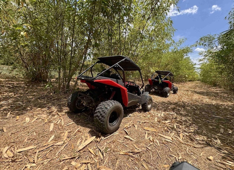 Picture 17 for Activity Bamboo Dune Buggy Tour