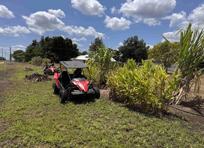 Picture 41 for Activity Bamboo Dune Buggy Tour