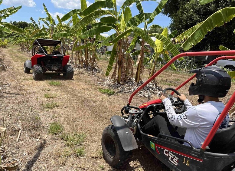 Picture 6 for Activity Bamboo Dune Buggy Tour