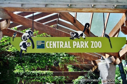 紐約市：參觀中央公園動物園和 30 多個頂級步行景點遊覽