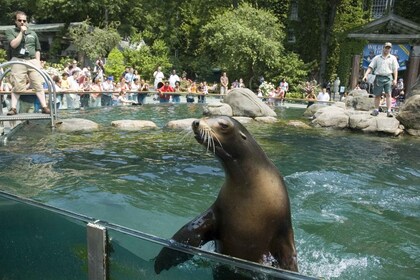 Nueva York: visita el zoológico de Central Park y un recorrido a pie por má...