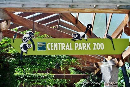 NYC: Besuch des Central Park Zoo & 30+ Top-Sehenswürdigkeiten Walking Tour