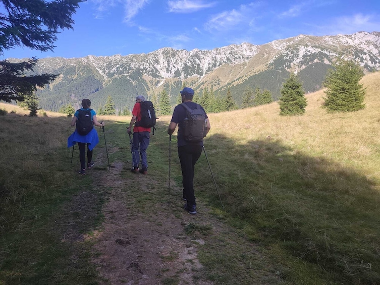 Day Trip to Piatra Craiului mountains & main ridge or optional routes