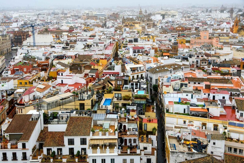 Picture 3 for Activity Seville: Sunset Roof Top Walking Tour