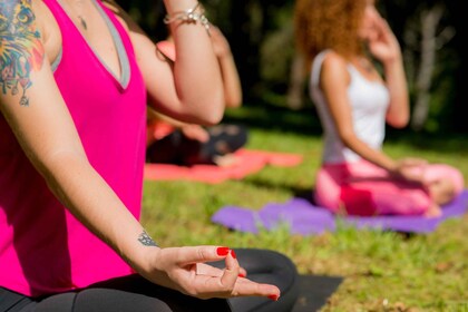 São Miguel : Lagoa das Sete Cidades Standup Paddleboard Yoga