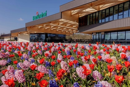 Amsterdam: Halvdagstur på sykkel til blomstermarkene og Keukenhof