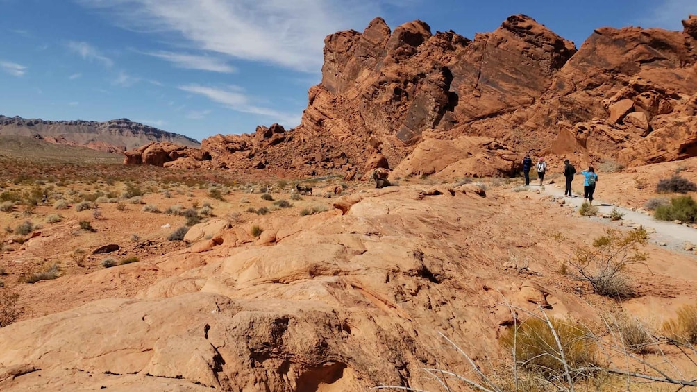 Picture 13 for Activity From Las Vegas:Valley of Fire, California Mojave Desert Tour