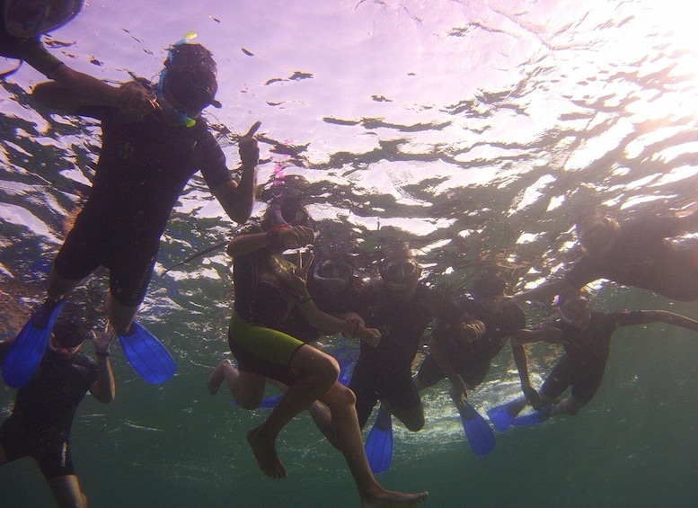 Picture 4 for Activity Menorca: Snorkeling Safari Tour
