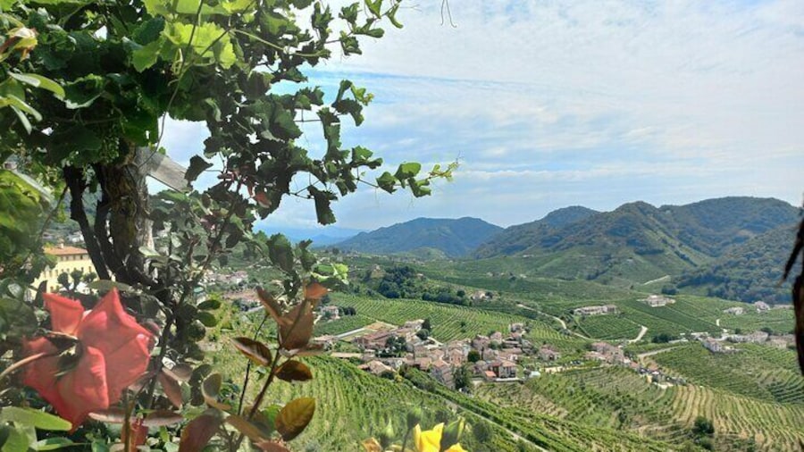 Prosecco hills wine and food tour from Venice and Treviso