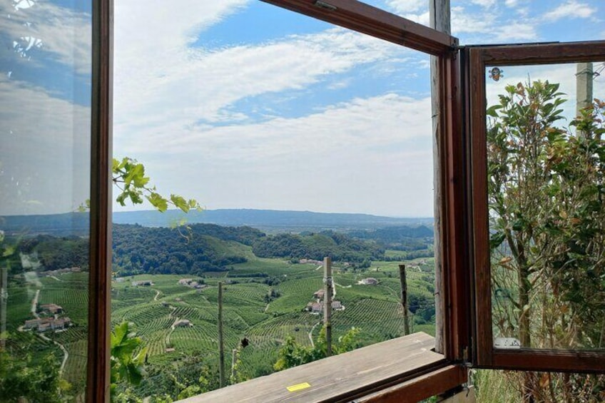 Prosecco Hills Guided Tour with Wine Tasting and Lunch