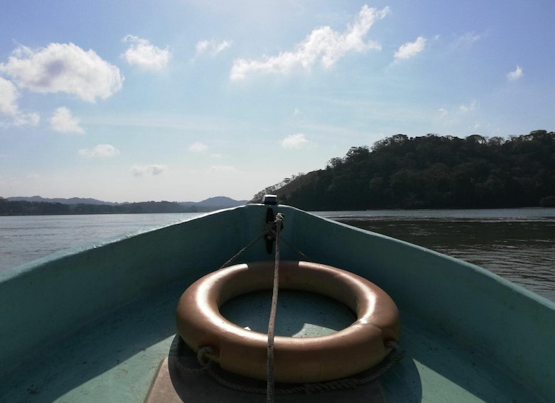 Picture 6 for Activity Panama Canal Boat Eco Tour and Monkey Island